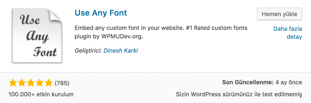 Use Any Font WordPress Eklentisi