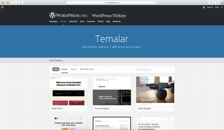 WordPress Temaları - wordpress tema
