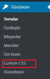 WordPress Custom Css Seçeneği
