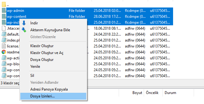 Filezilla FTP Root Klasörü Görünümü