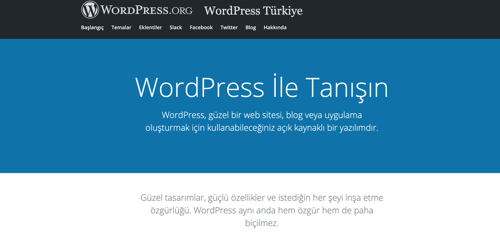 WordPress web sitesi.
