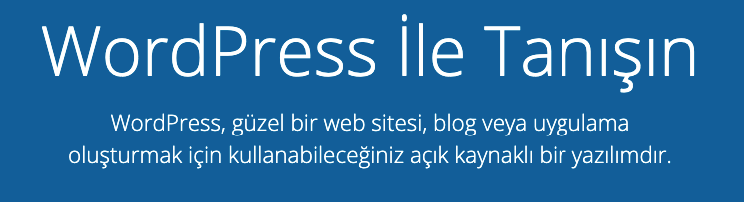 WordPress Ana Sayfası