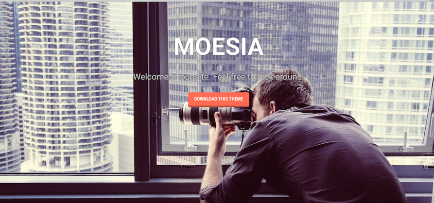 Moesia WordPress teması