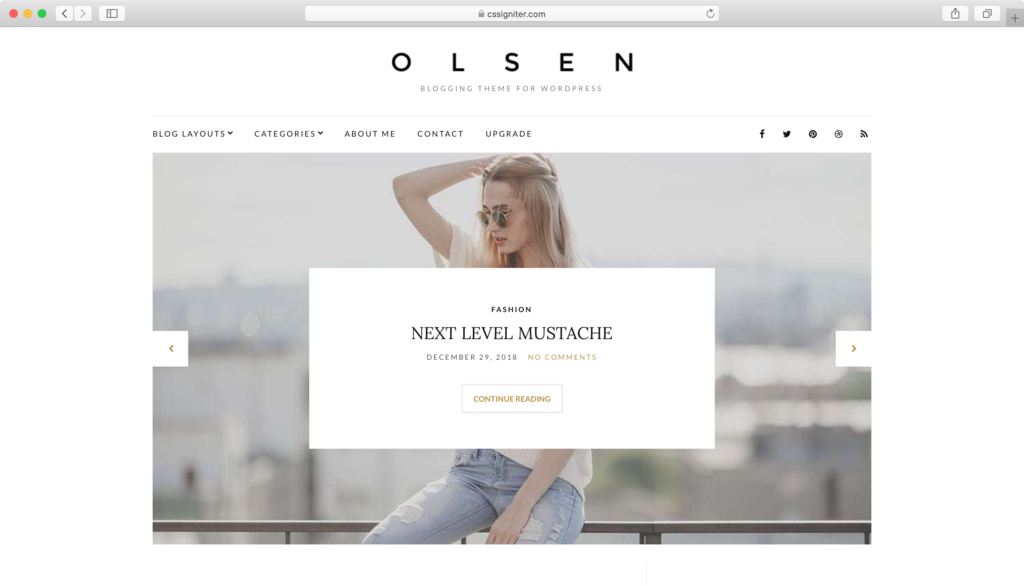 Olsen Light WordPress teması